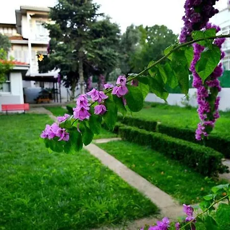 فيلة Rasimbey Koeskue *