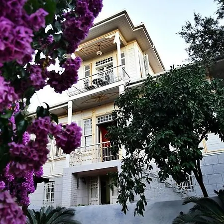فيلة Rasimbey Koeskue