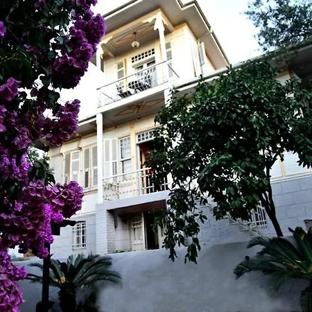 فيلة Rasimbey Koeskue