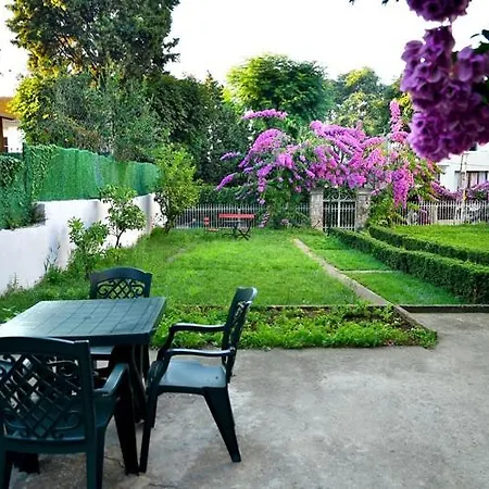 فيلة Rasimbey Koeskue *