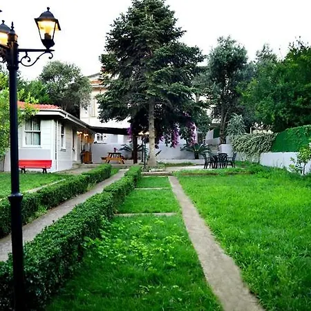 Rasimbey Koeskue فيلة *