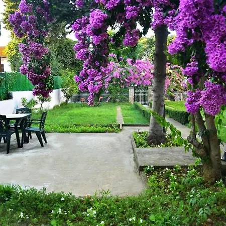 Rasimbey Koeskue بويوكادا